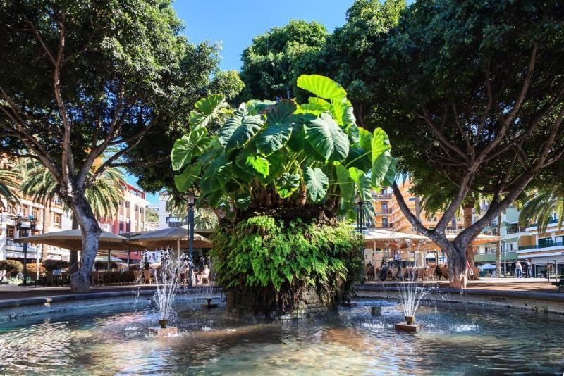 Dwo Nopal Hotel Puerto de la Cruz  Bagian luar foto